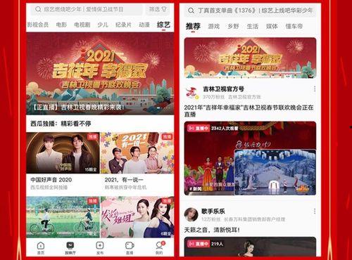 今日头条西瓜版注册,轻松开启精彩内容之旅