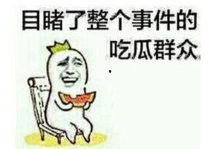 别人发吃瓜怎么回答,揭秘“吃瓜”背后的网络文化现象