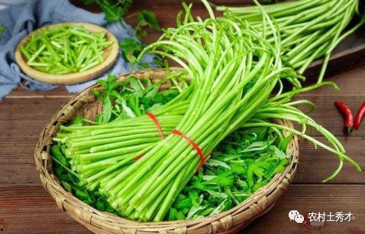 拉肚子吃蒿瓜好吗,腹泻时的天然良药，缓解不适的绿色选择