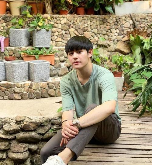 泰国明星暖暖,闪耀星途的璀璨之光