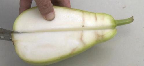 印度人吃葫芦瓜视频大全,葫芦瓜美食视频大盘点