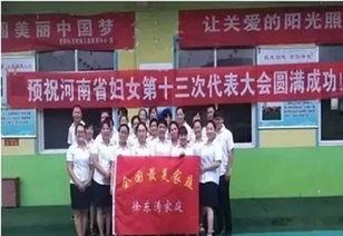 南阳新头条,聚焦本地最新动态，解码城市脉搏