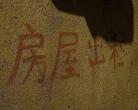 老陈家婆婆头条号,揭秘传统家常菜背后的温馨故事