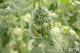 民商法老师瓜,法律解读与案例分析