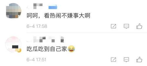 吃瓜案例分析,吃瓜群众视角下的社会现象解析