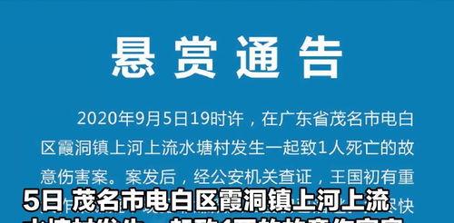 霞洞新闻爆料电话是多少,揭秘爆料电话，助力社区和谐发展