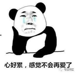 吃瓜的群众搞笑段子,搞笑段子大盘点