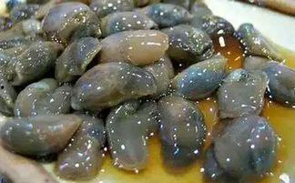 吃泥螺可以吃哈密瓜,探寻美食界的奇妙组合