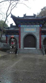 周岗网红,揭秘网络红人的崛起之路