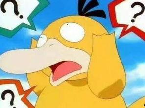 吃瓜可达鸭,鸭子的美食世界