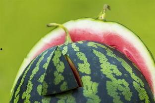 籽瓜感冒可以吃吗