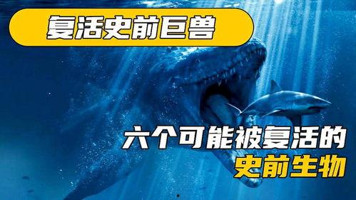 史前的生物头条,探寻地球生命演化奥秘