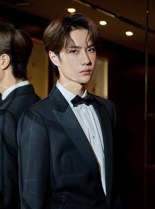 勋鹿明星粉丝文,粉丝心中的明星爱情故事