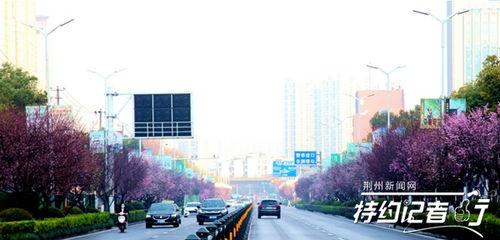 武汉江津西路新闻头条,多车连环相撞，交通严重受阻