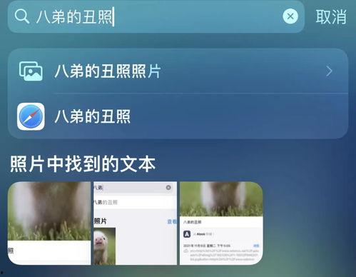 头条读取相册速度,体验超速相册浏览新境界