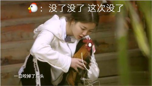 各个明星的鸡巴,揭秘明星们的“私密”尺寸之谜