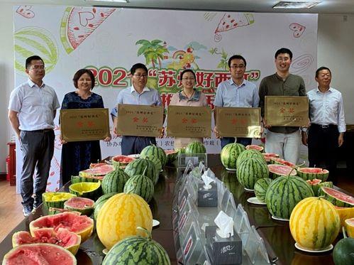 常熟吃瓜少女,吃瓜少女生活记